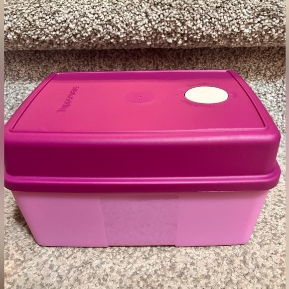 🚨Tupperware Ice Cream Freezer Mates Rectangle Rhubarb - Picture 1 of 4